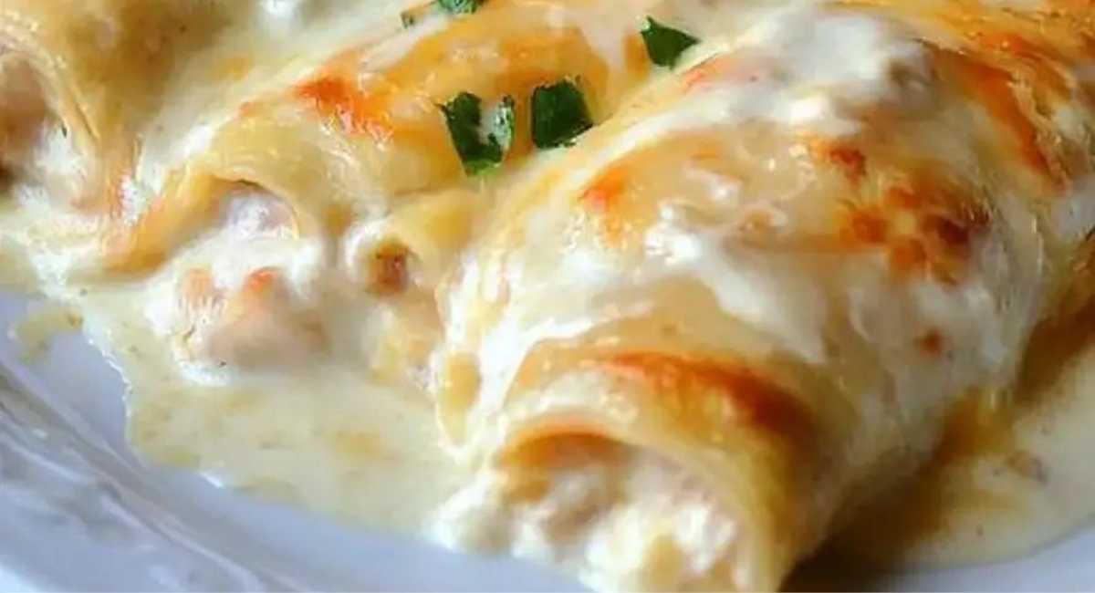 Chicken enchiladas with sour cream white sauce