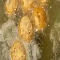 Você tem ovos em sua casa? preparei essa receita deliciosa