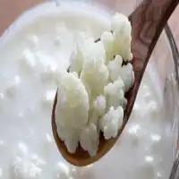 Kefir com leite zero lactose uma opção saudável e deliciosa