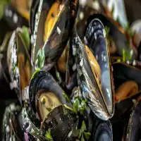 Moules marinières