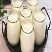 IOGURTE NATURAL CASEIRO COM APENAS 2 INGREDIENTES