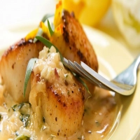 Noix de Saint-Jacques fondue de poireaux