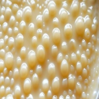 Tapioca Pudding