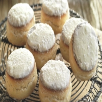 Nevaditos