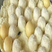 Docinho de Leite Ninho 