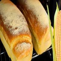 Pão de milho de liquidificador feito com milho de latinha muito fofinho e fácil de preparar