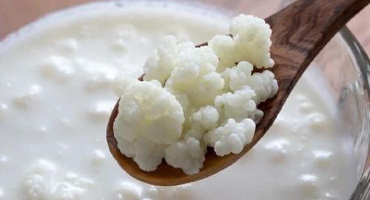 Kefir com leite zero lactose uma opção saudável e deliciosa