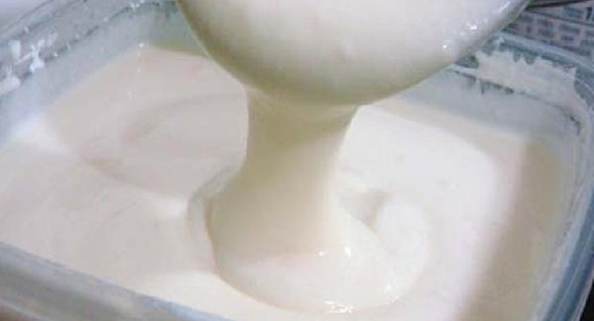IOGURTE NATURAL CASEIRO COM APENAS 2 INGREDIENTES – RENDE ATÉ 2 LITROS