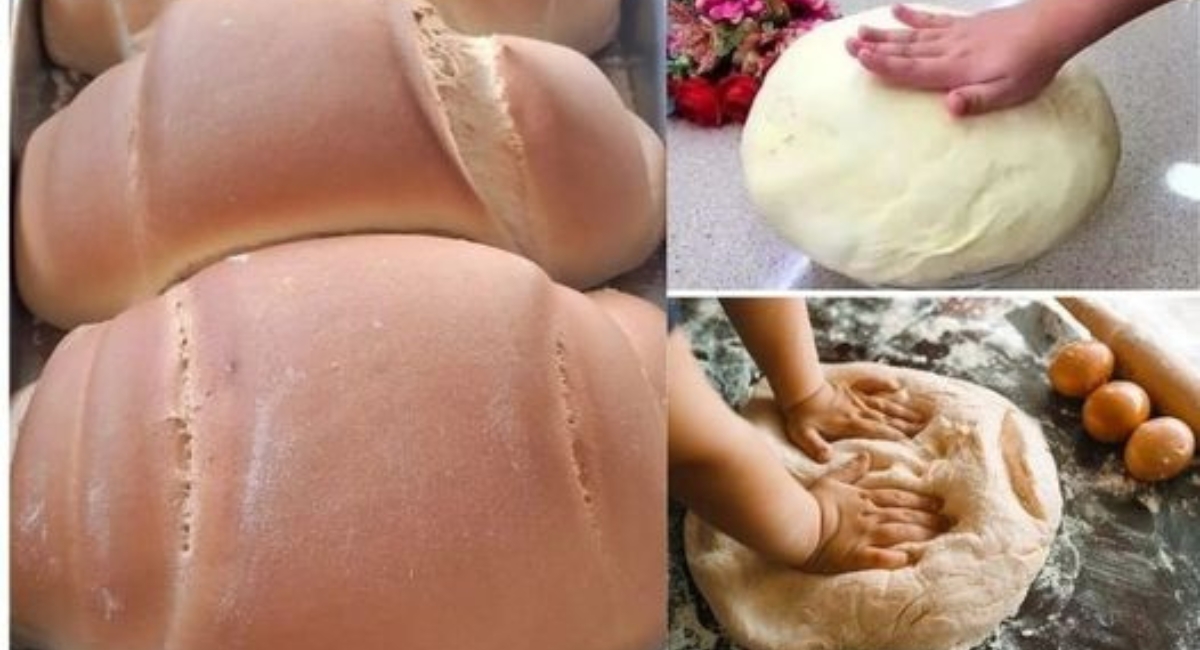 Pão Caseiro econômico e fofinho! Sempre faço em casa delicioso
