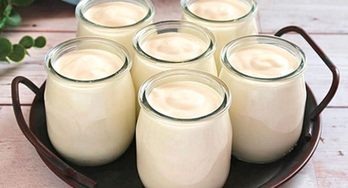 IOGURTE NATURAL CASEIRO COM APENAS 2 INGREDIENTES