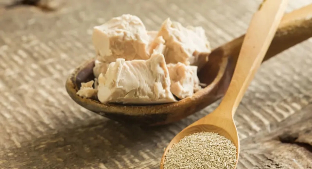 Levure Boulangère Fraîche Maison