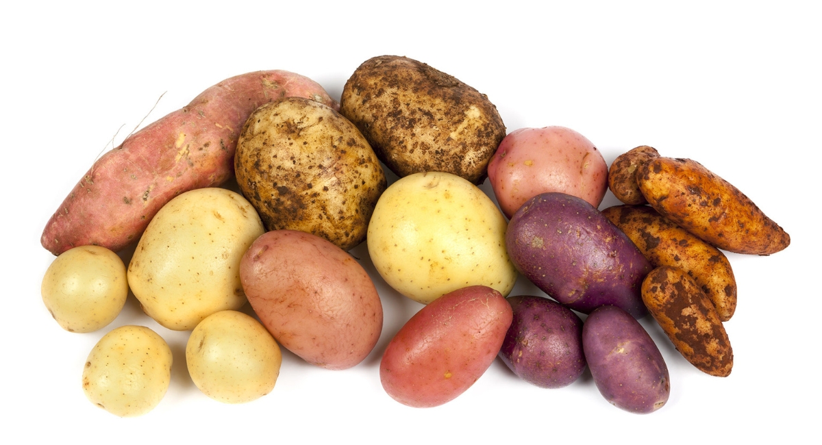 Legumes ao forno: se você preparar hoje dá para guardar para semana toda