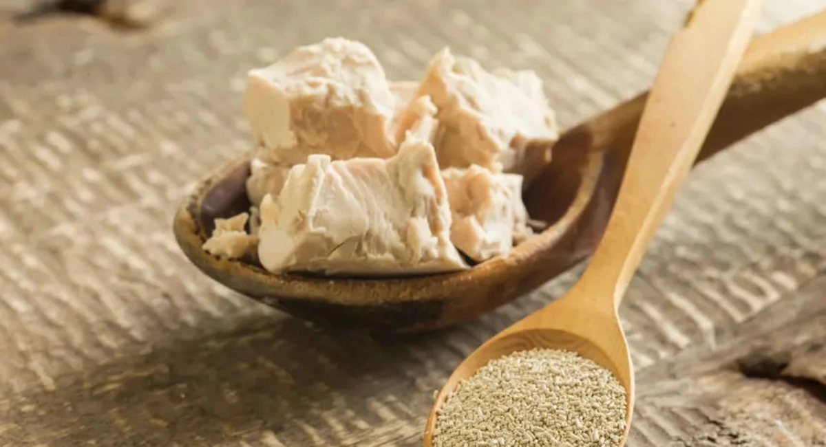 Levure Boulangère Fraîche Maison